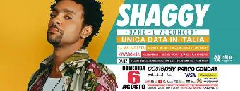 Shaggy Live