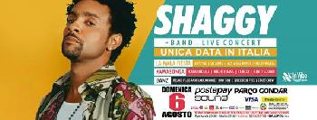Shaggy Live