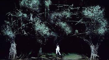 In una notte senza luna