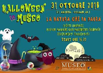 Halloween in Museo 