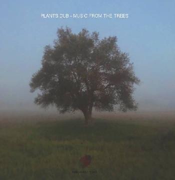 Music from the trees