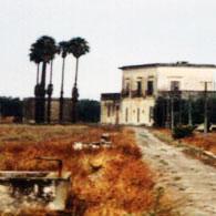 Villa Pisanelli
