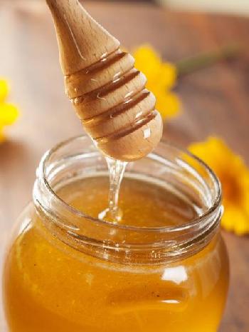 Melendugno: prima citt del miele in Puglia