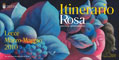 Visualizza dettagli: Itinerario Rosa 2010
