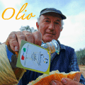 Olio Schirinzi del Salento - Azienda Olearia in Carmiano, Lecce